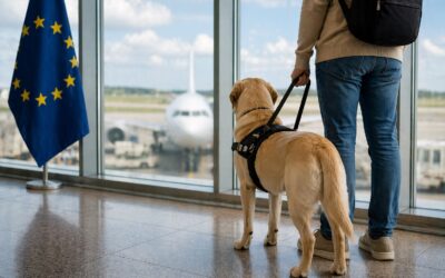 Guide Dog Travel Between Great Britain and the EU: The Case for Change
