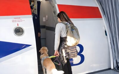 How Advocacy Helped Improve the Experience of a Guide Dog User at Heathrow Terminal 3